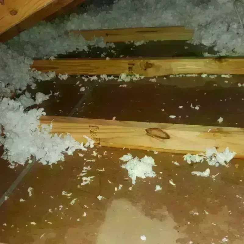 Attic Water Damage in Gibson, GA