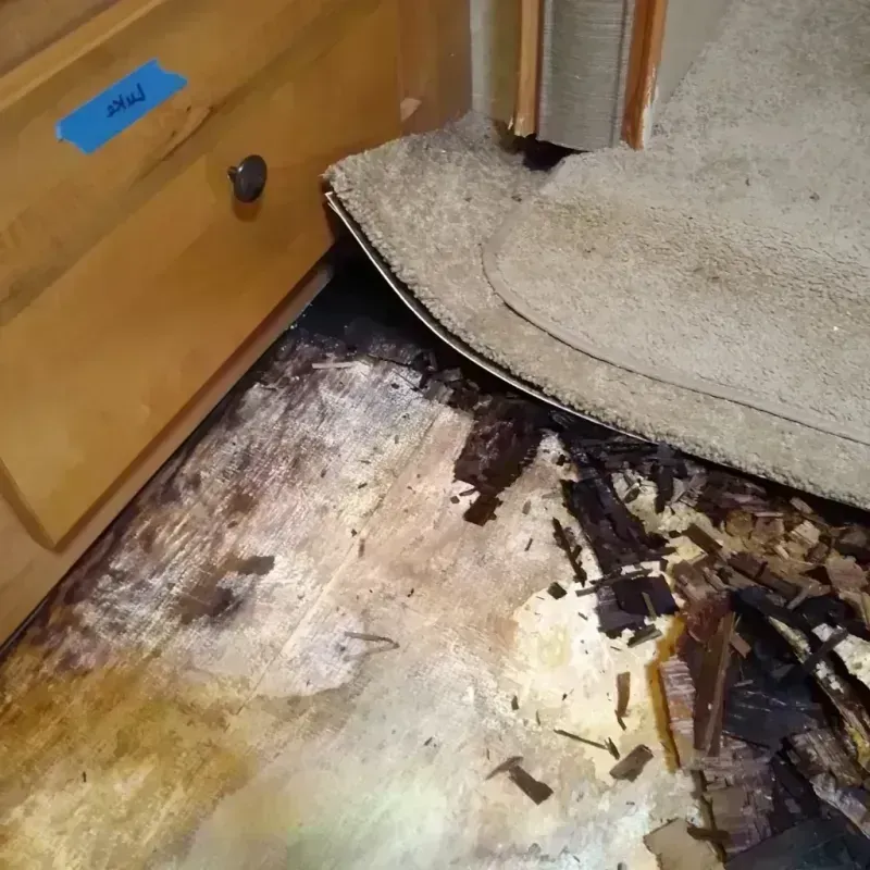 Best Wood Floor Water Damage Service in Gibson, GA